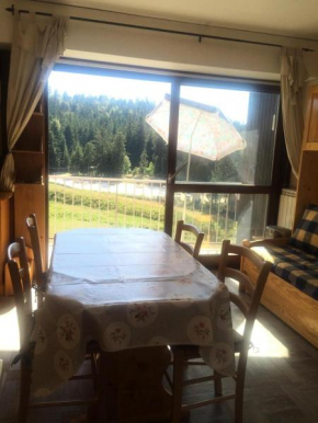Résidence Les Fayards - Très joli studio spacieux et lumineux PDP MAE-4084 Corrençon-En-Vercors